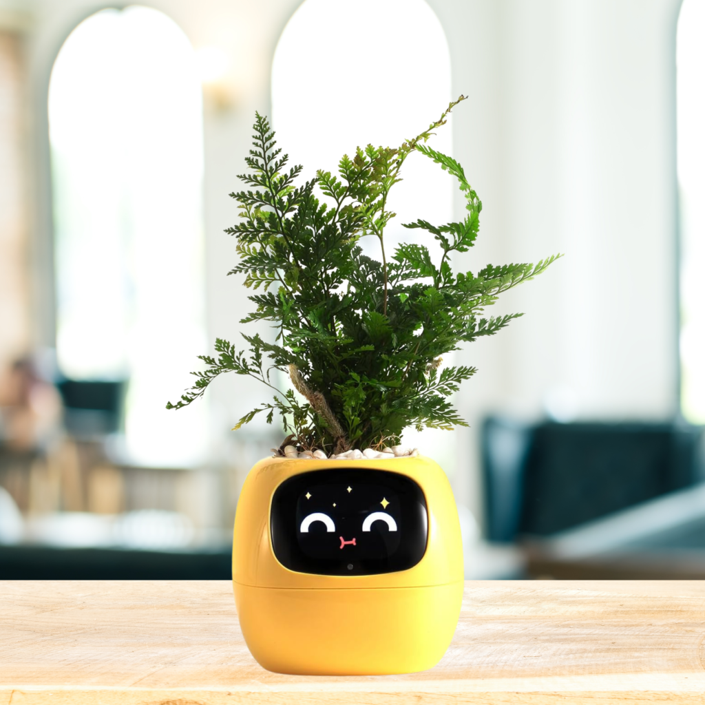 smart planter, flower pot